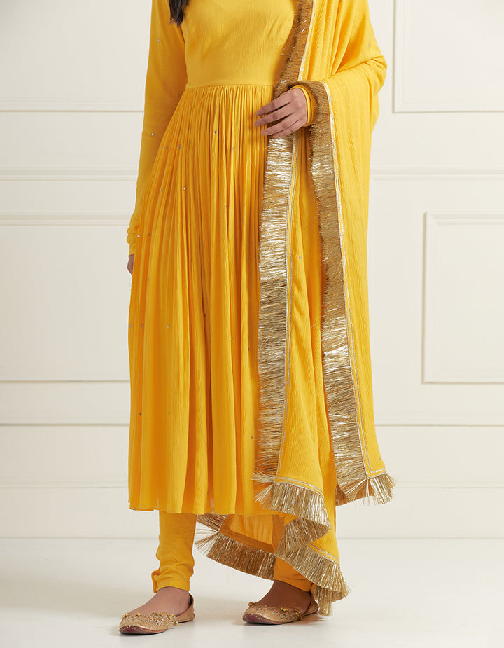 Yellow Hand Embroidered Anarkali with Churidar and Dupatta