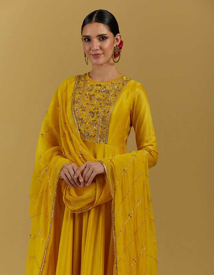 Yellow Hand Embroidered Floor Length Anarkali Suit Set