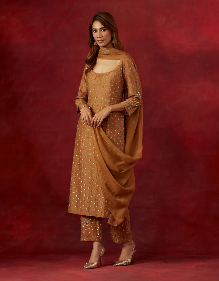 Rust embroidered chanderi silk kurta and pants with tissue dupatta