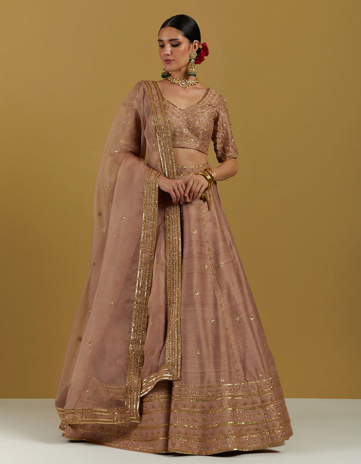 Dust Pink Hand Embroidered Blouse With Lehenga And Dupatta
