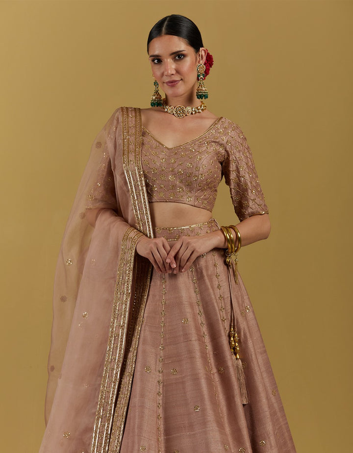 Dust Pink Hand Embroidered Blouse With Lehenga And Dupatta