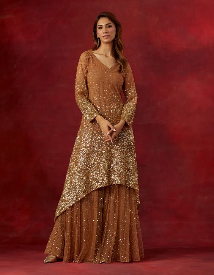 Rust embroidered georgette kurta and sharara with tissue dupatta