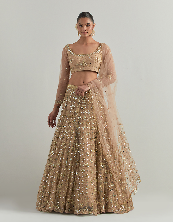 Beige Hand Embroidered Lehenga Set