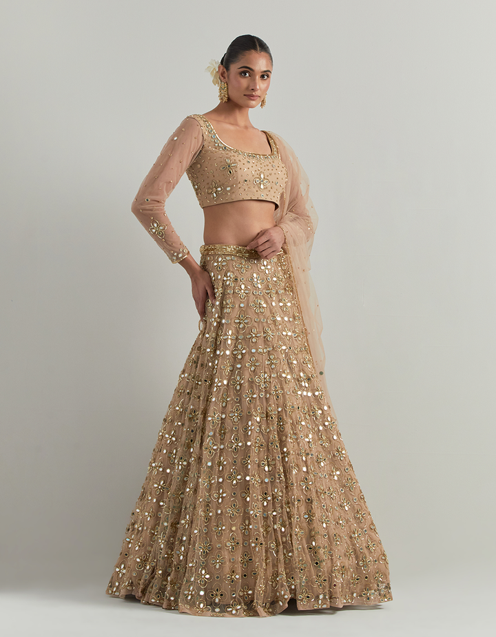 Beige Hand Embroidered Lehenga Set
