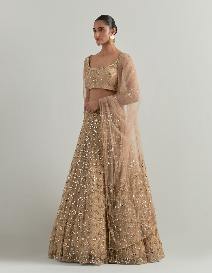 Beige Hand Embroidered Lehenga Set
