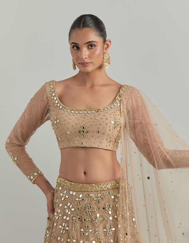 Beige Hand Embroidered Lehenga Set