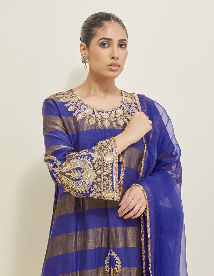 Blue Embroidered Shimmer Suit Set