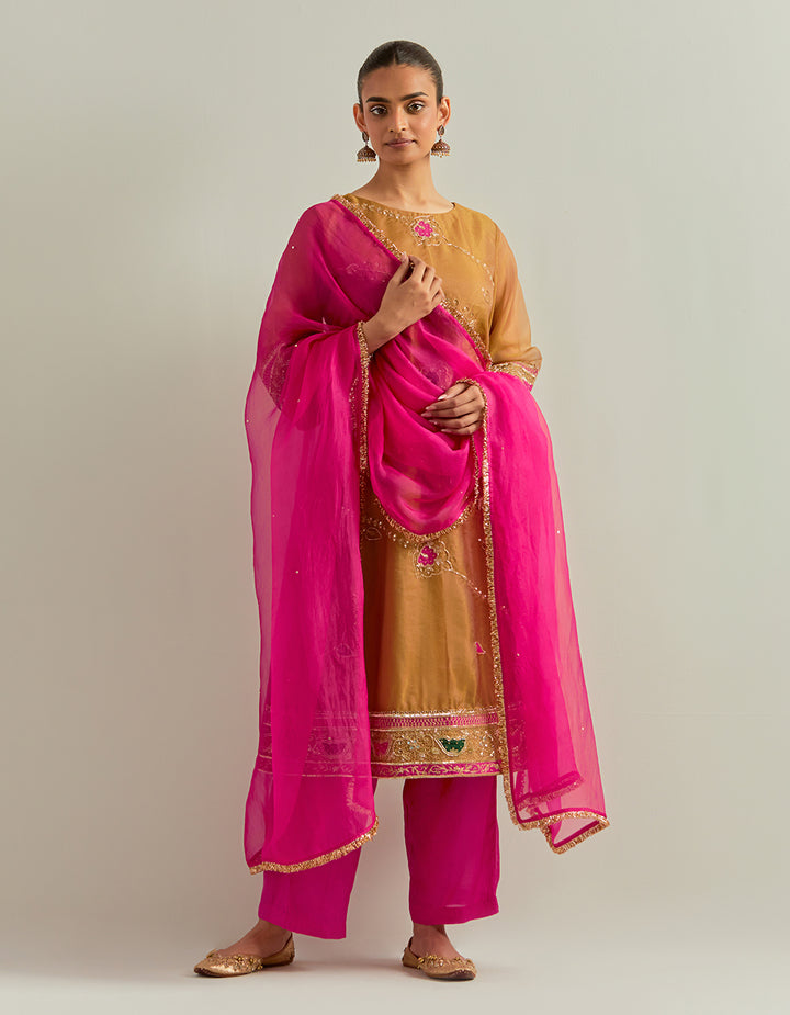 Mustard Hand Embroidered Shimmer Organza Suit Set