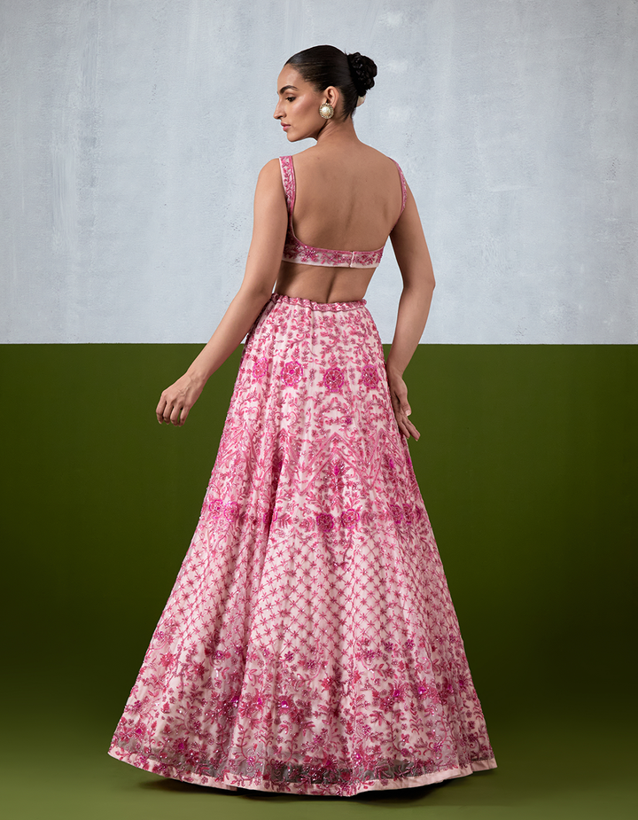 Pink Hand Embroidered Lehenga Set