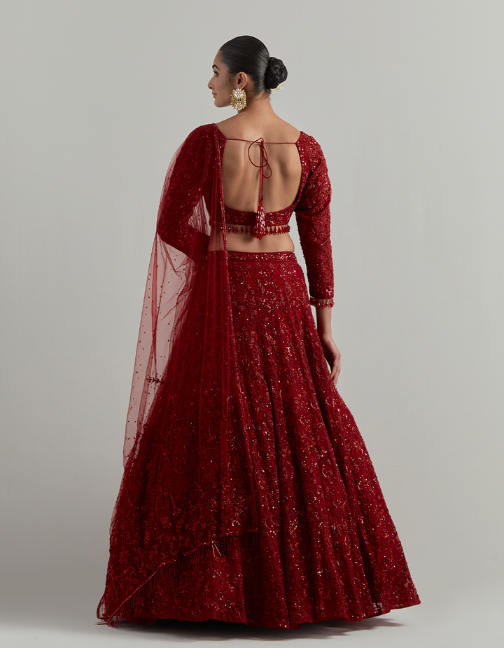 Red Hand Embroidered Lehenga Set