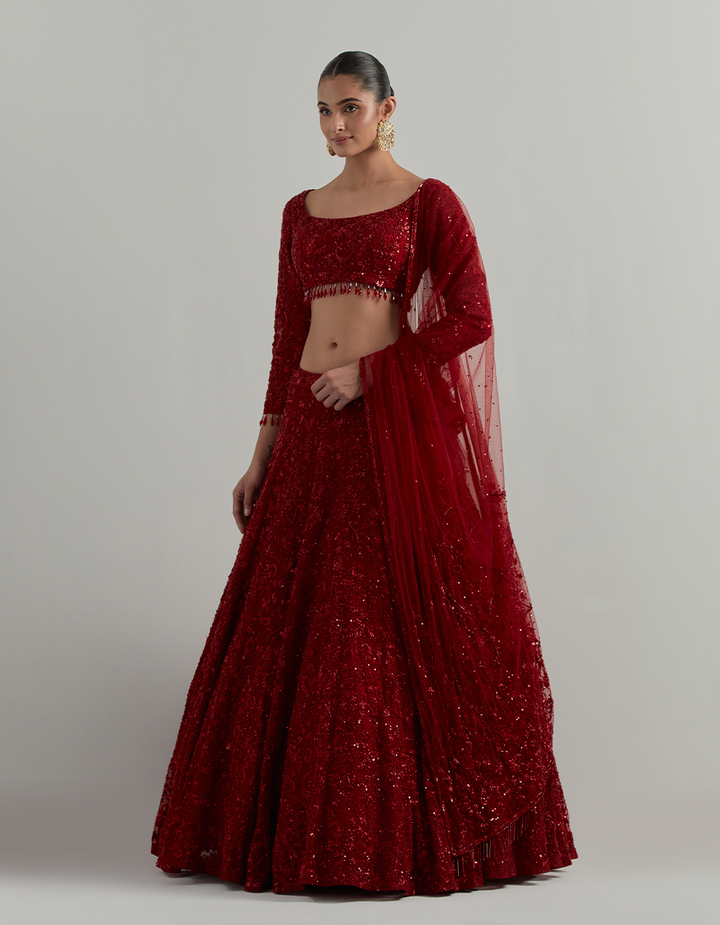 Red Hand Embroidered Lehenga Set