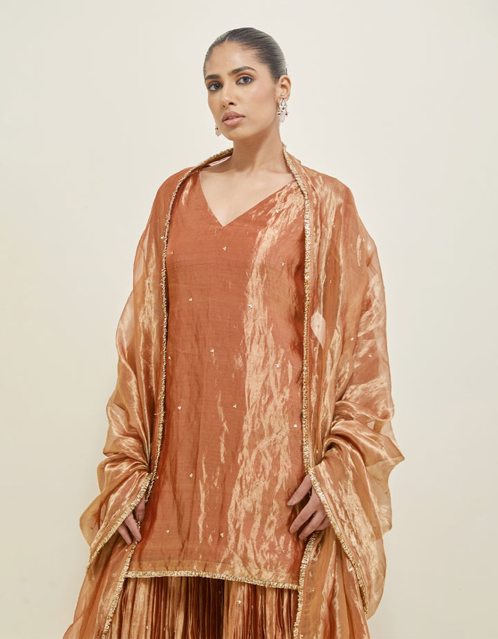 Rose Copper Embroidered Shimmer Organza Gharara Set