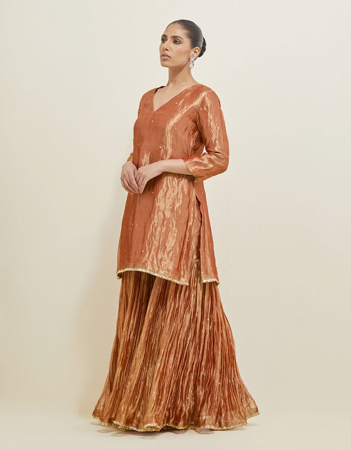 Rose Copper Embroidered Shimmer Organza Gharara Set